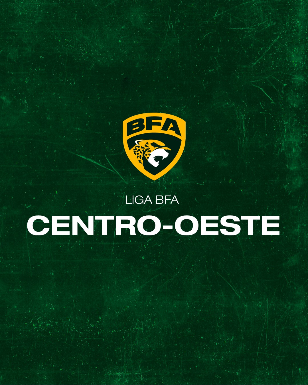 Conferencia Centro Oeste 2024