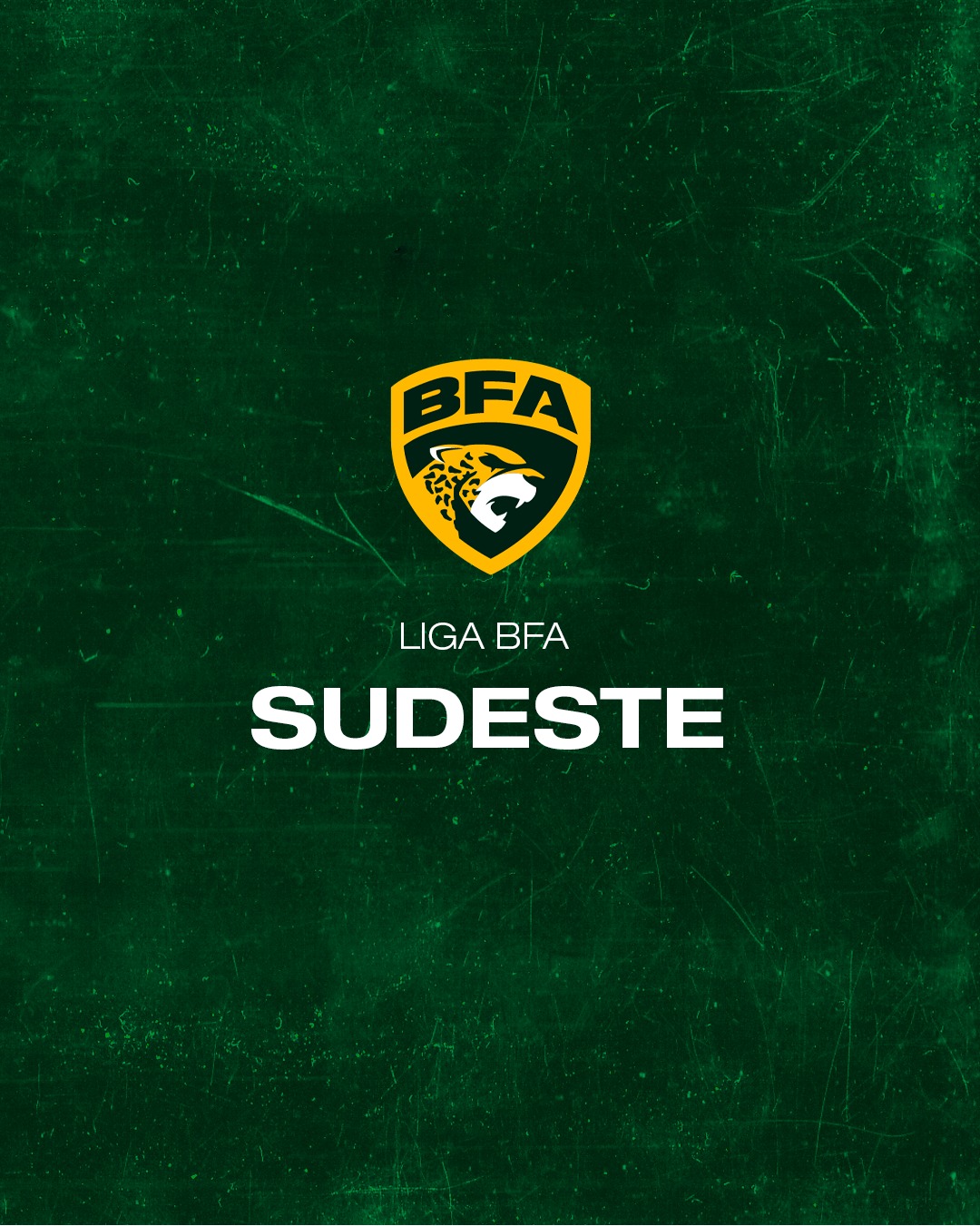 Conferencia Sudeste 2024