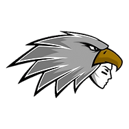 CuritibaSilverhawks.png