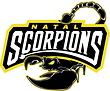 SCORPIONS-RN.png