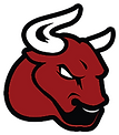 BULLS-RS.png