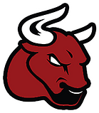 BULLS-RS.png