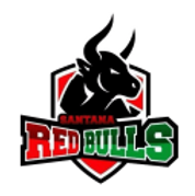 ba_santana_red_bulls-128x128.png